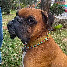 Cargar imagen en el visor de la galería, Collar Doggy - Personalizable

