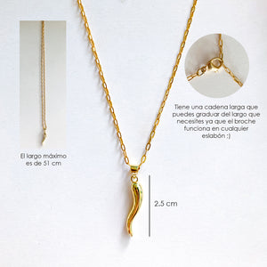 Collar Golden Charm