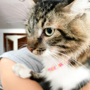 Pulsera y collar - Cat & Human